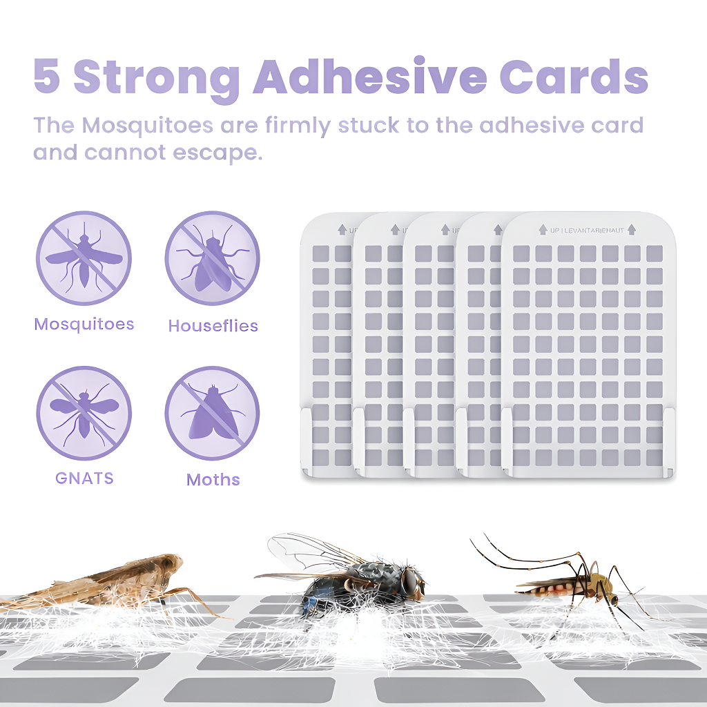 Flying Inscet Trap ( 5 Cards Included )
