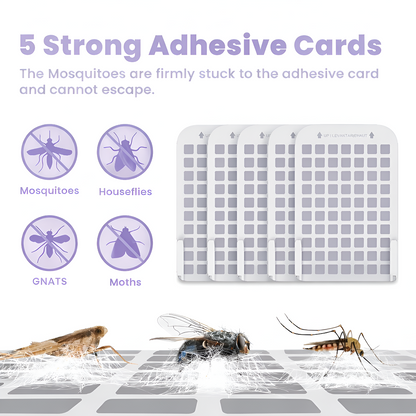 Flying Inscet Trap ( 5 Cards Included )