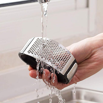 Stainless Steel Garlic Presser