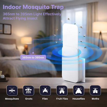 Flying Inscet Trap ( 5 Cards Included )
