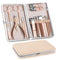18-in-1 Multi-Tool Set | Rose Gold Tool Kit | Stainless Steel Tool Set | Compact Repair Tool Kit